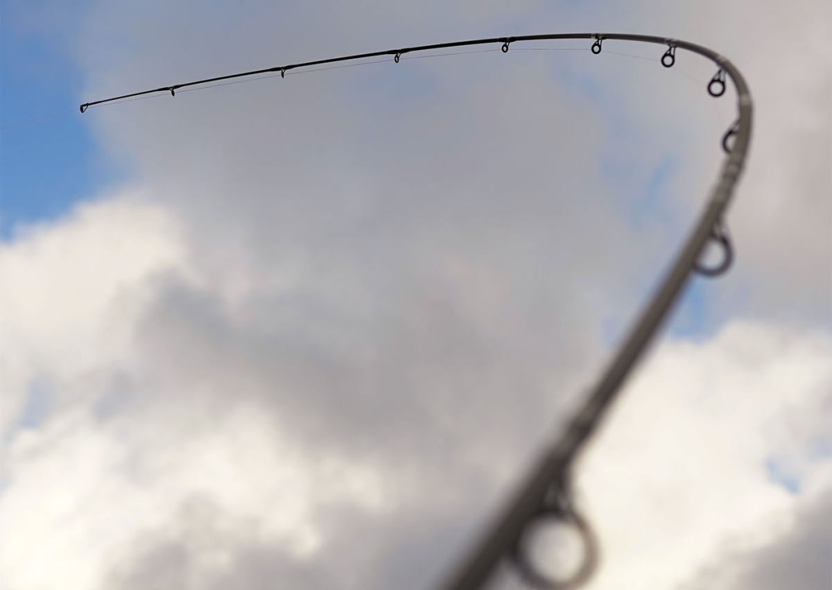 Mefo Snoekbaarshengel 3.00mtr 10-35gr