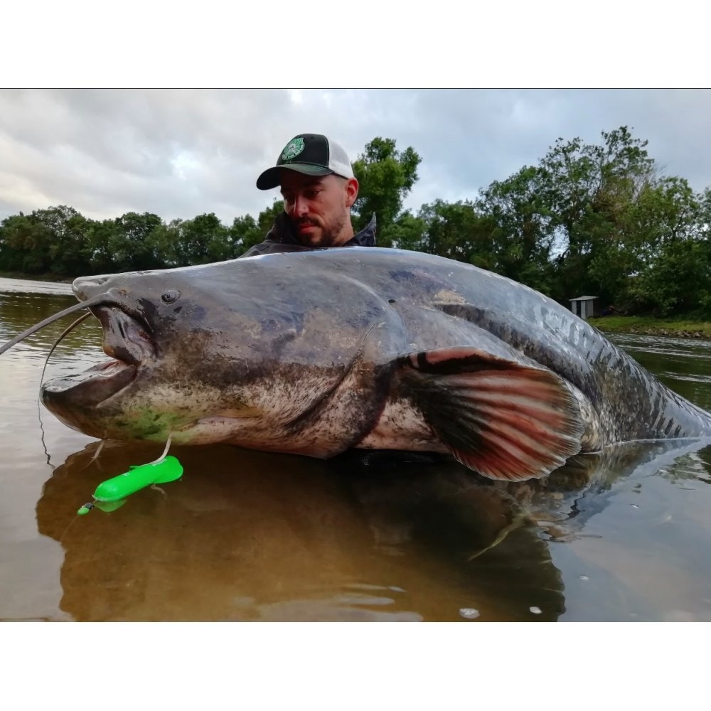 Screaming Subfloat 10cm/20gr