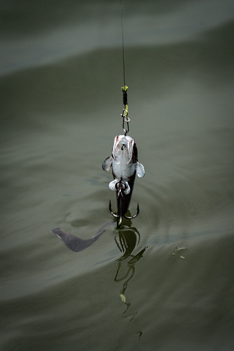 Ultra Natural Replicant Catfish 10cm/21gr