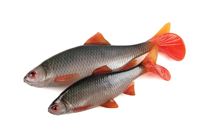 Ultra Natural Roach 14cm/29gr