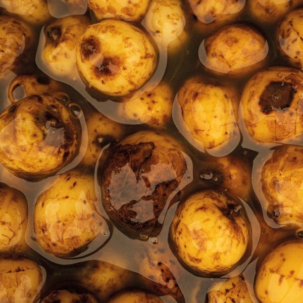 Sweet Tiger Nuts 500ml