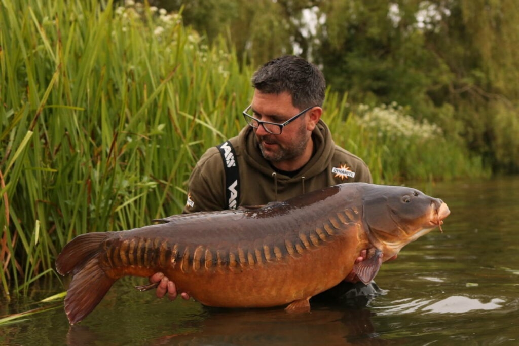 Complex-T Boilies 15mm 1Kg