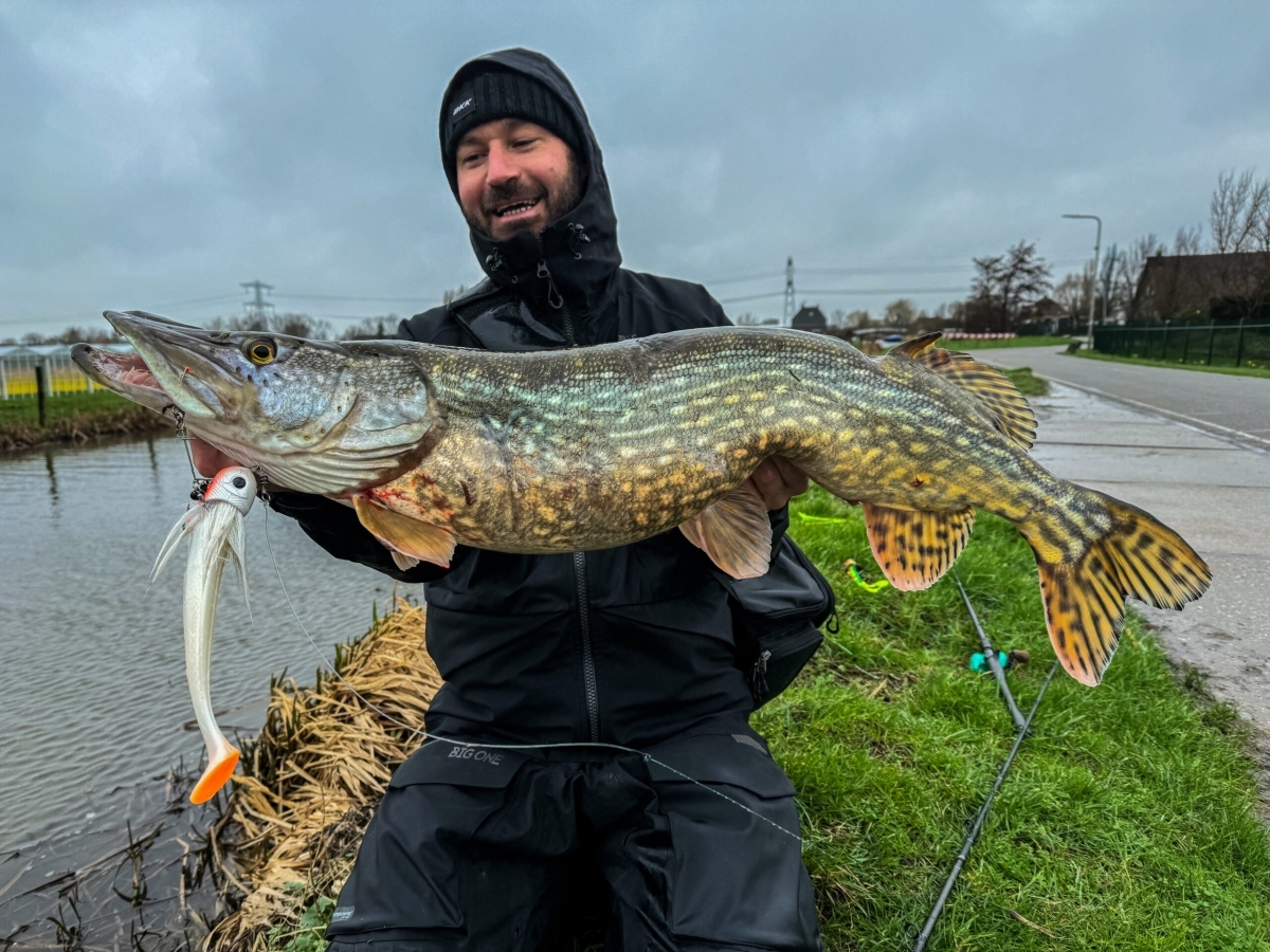 BlackBug Beetle 21cm/85gr White Furry