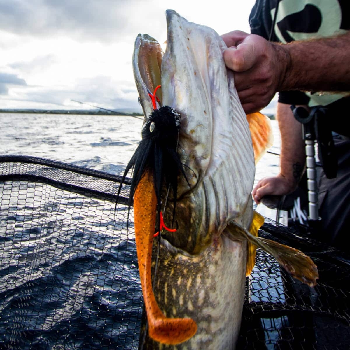 BlackBug 25cm/105gr Chub