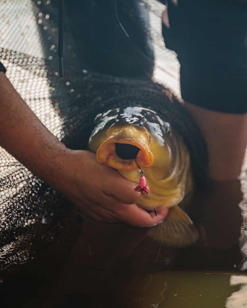 Edges Carp Ready Rigs - Fluoro D-Rig Size 4