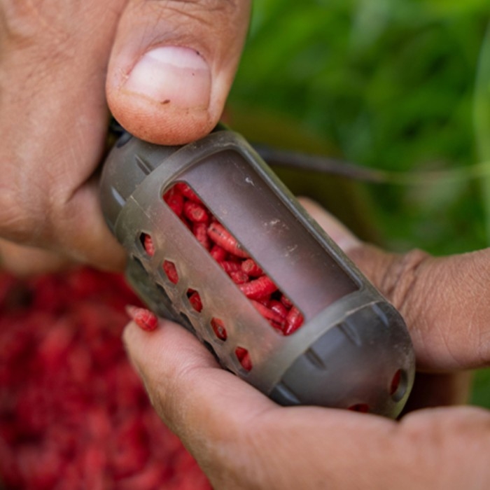 Window Maggot Feeder Medium 45gr