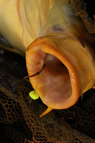 Kerry Pole Rig 0.5gr/#18/0.14mm/0.09mm - onderlijn