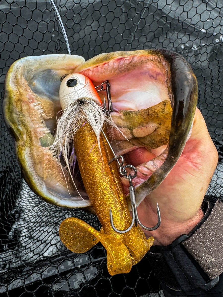 BlackBug Beetle 21cm/85gr White Furry