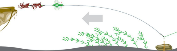 Screaming Basi River Rig Worm & Squid 160cm/1.00mm/#6/0+#6/0