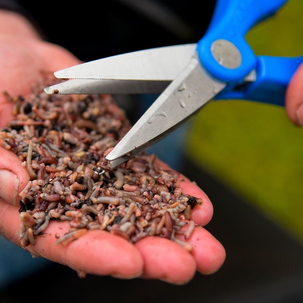 DOUBLE BLADE WORMCHOPPER