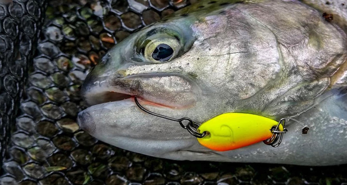 TM ATS Spoon Pearl Mutt