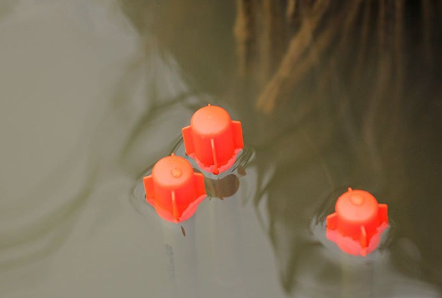 XL Pellet Waggler 14gr