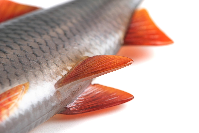 Ultra Natural Roach 14cm/29gr