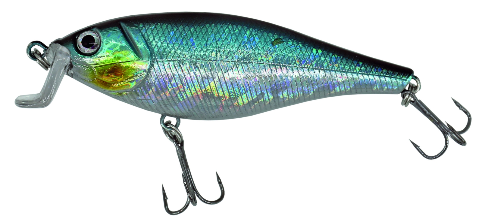 Catch 21 Bastard Blue Mackerel