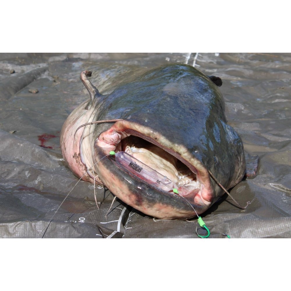 Adjusta Profi River Rig Deadbait 180cm/1.00mm/#1/0+#6/0/20gr