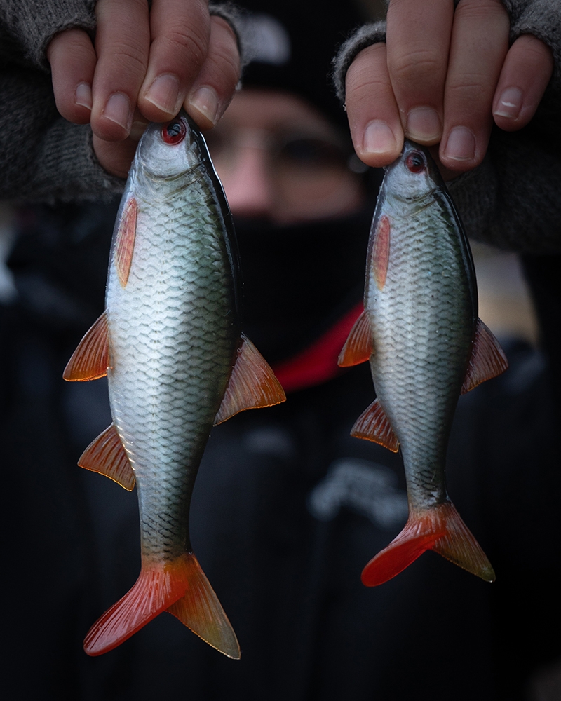 Ultra Natural Roach 14cm/29gr