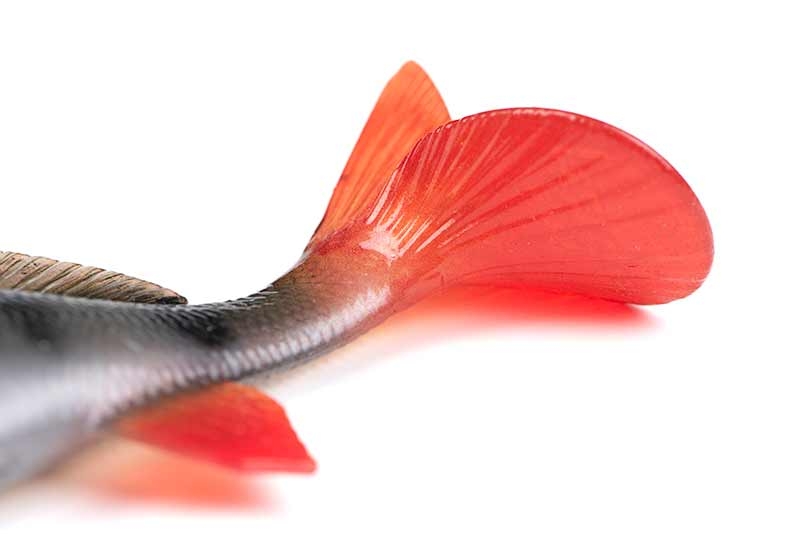 Realistic Perch Replicant 14cm/58gr