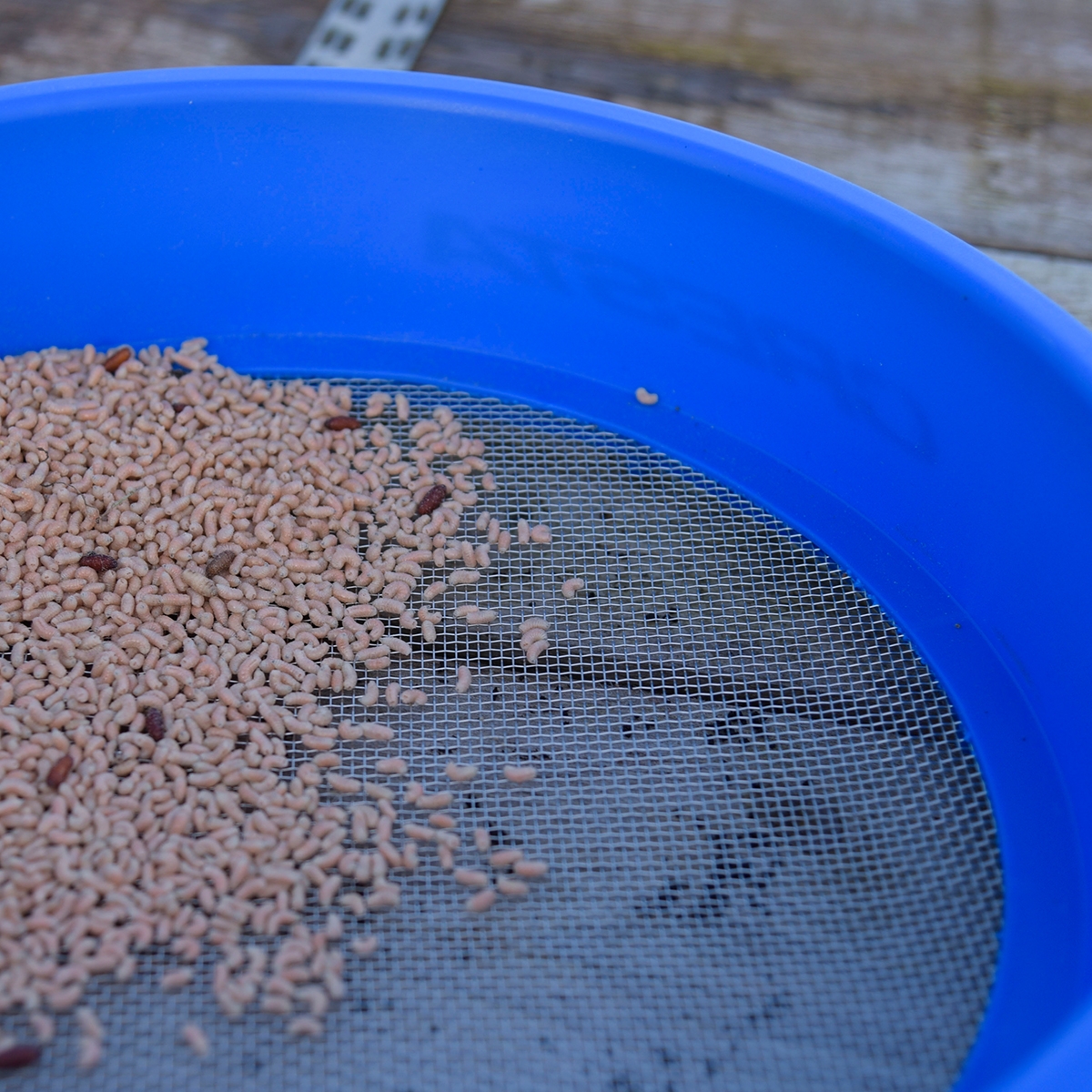 SUPA RIDDLE SQUARE MESH 3MM