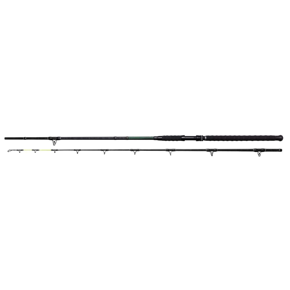Black Cat-Stick 3.00m (150-300gr)
