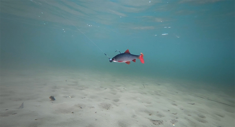 Ultra Natural Roach 14cm/29gr