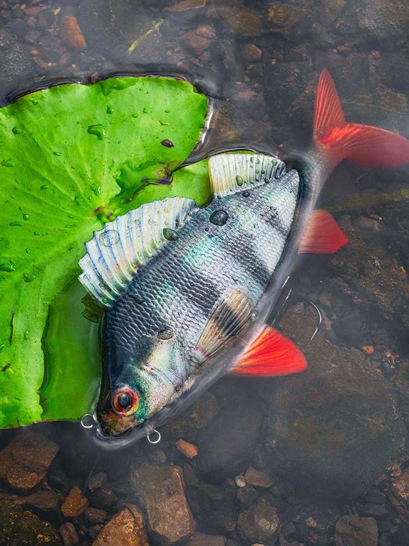 Ultra Realistic Perch Replicant 18cm/100gr