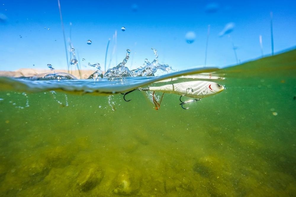 Choppo 90 9cm/15gr Maverick