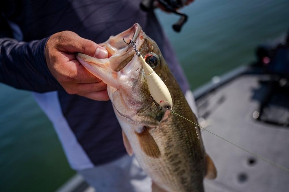 Choppo 105 10.5cm/21gr Sexy Back