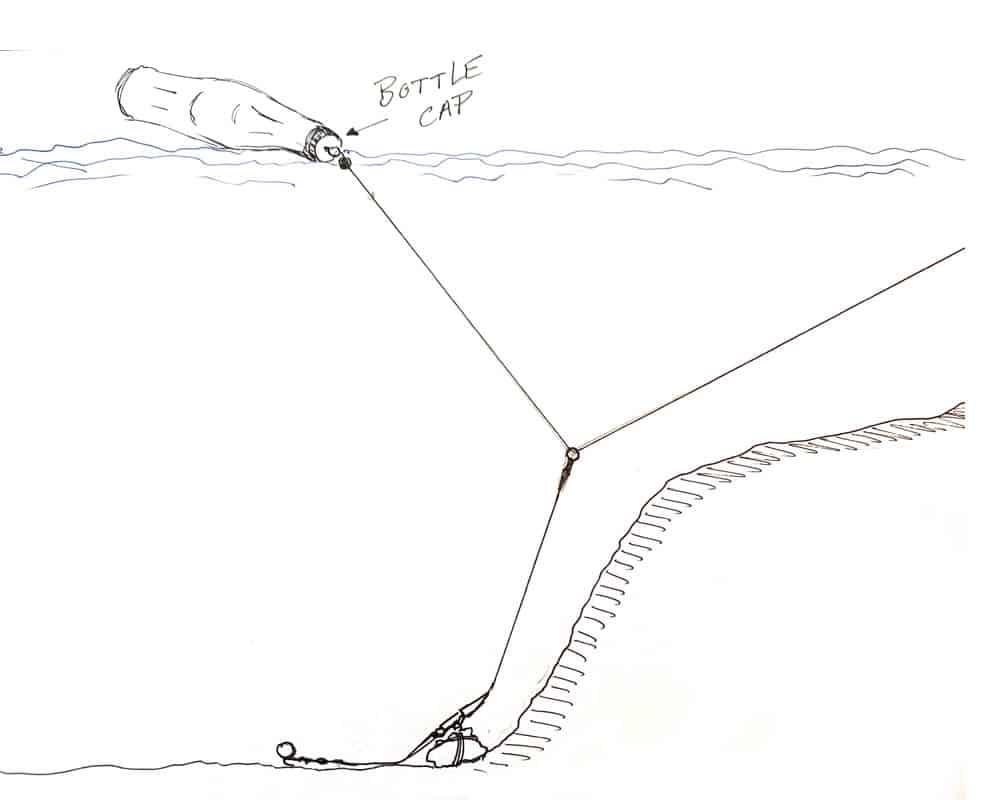 Buoy Big Eye Swivvle Bottle Cap