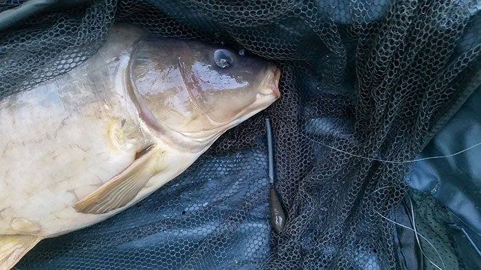 Heli-Chod Buffer Hood  Weed