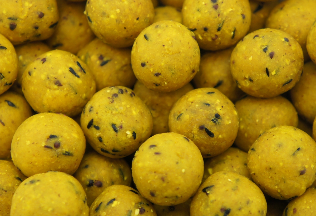 Classic Range Boilie Scopex 15mm (2.5kg)