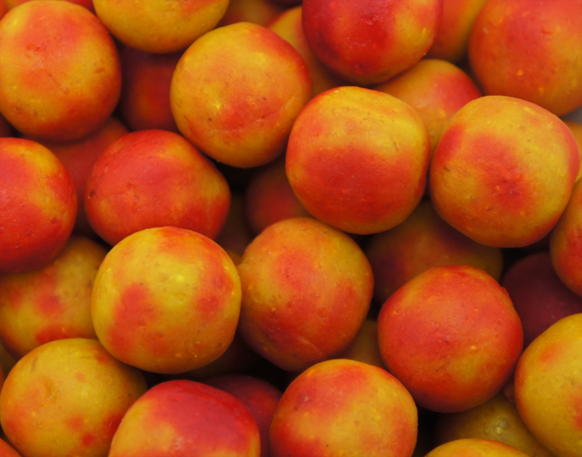 Classic Range Boilie Tutti  Frutti  20mm 1kg