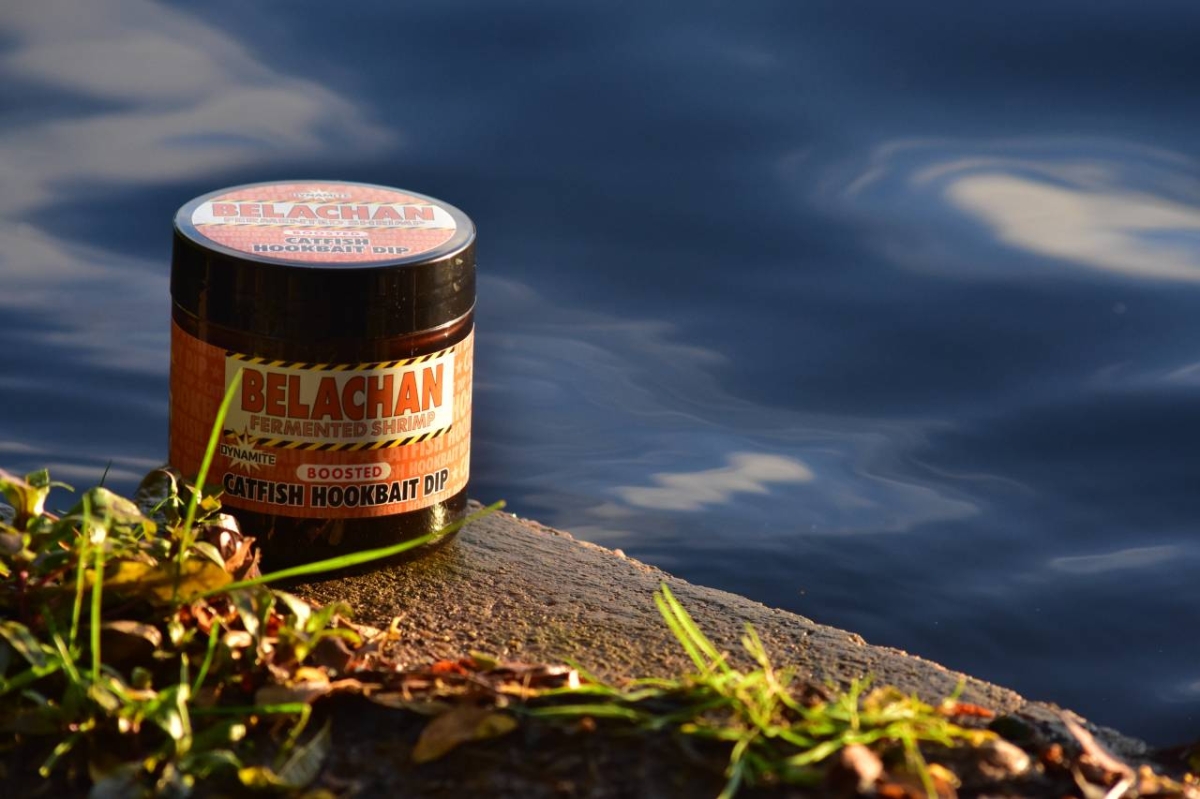 Belachan Catfish Dip