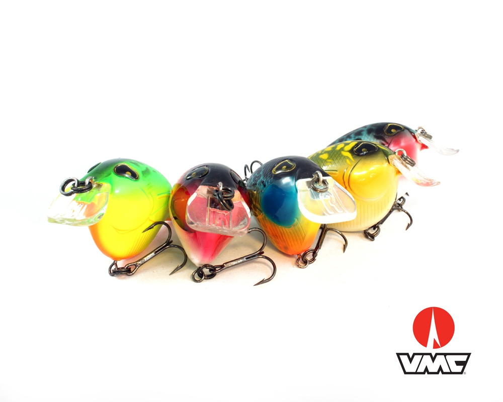 Fat Izzy 15Tth Anniversary