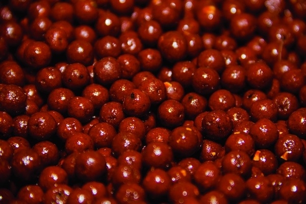 The Source Boilie 20mm 1kg