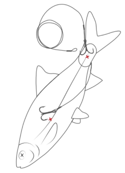 Long-Cast Doodaas Rig Medium #4+#4