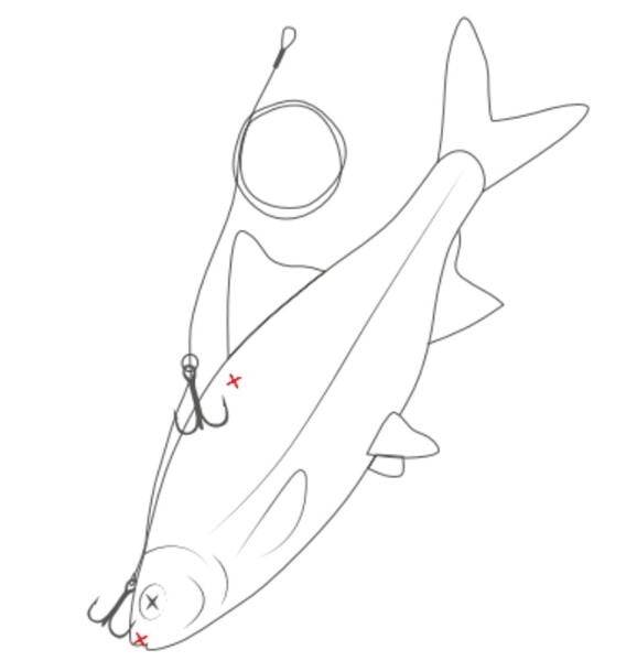 Multi-Purpose Doodaas Rig Medium #6+#8