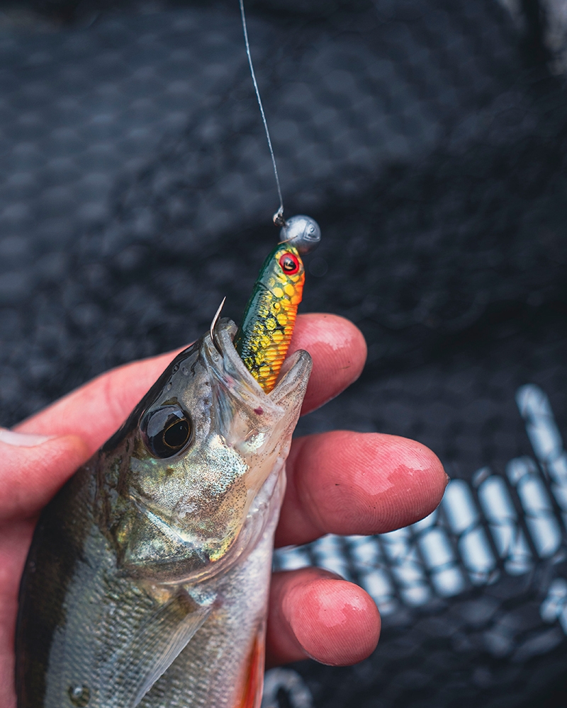 Mini Tiddler Mixed Loaded Colour Pack 8cm