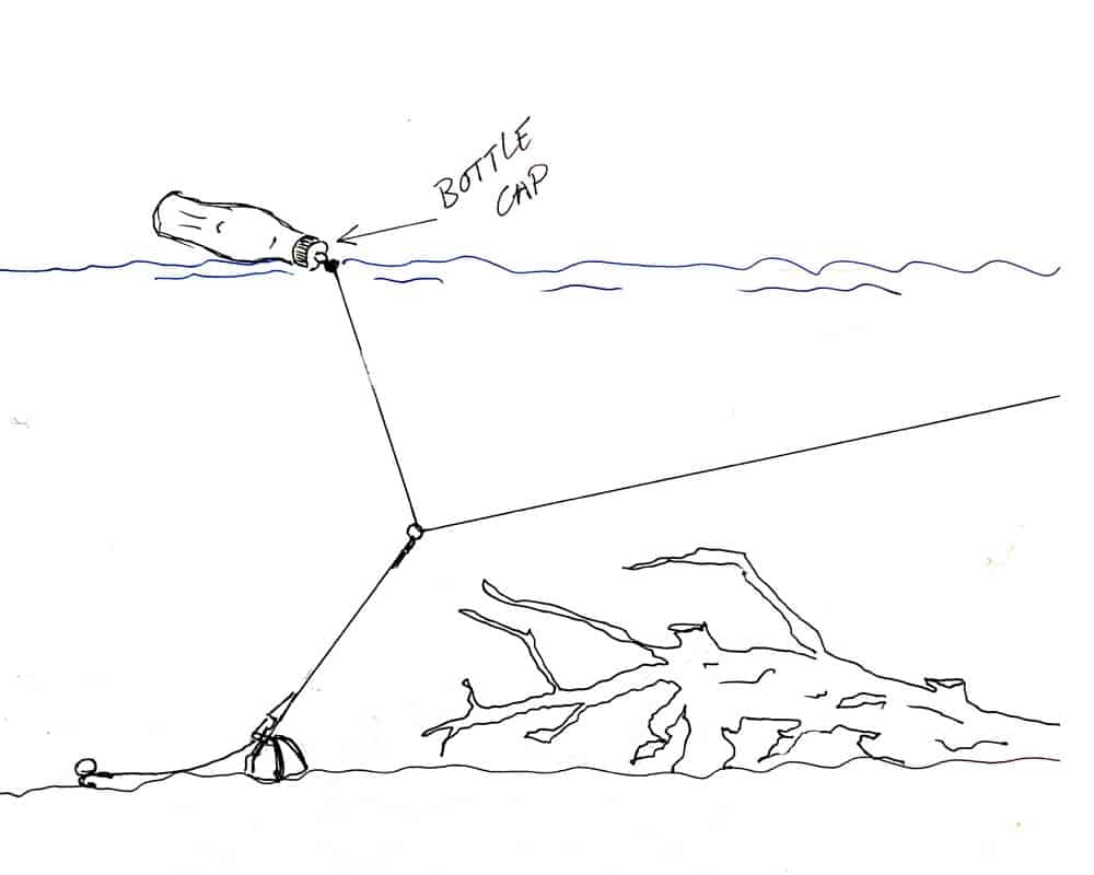 Buoy Big Eye Swivvle Bottle Cap