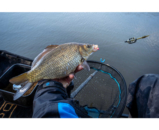 Micro Band'um Wafter Banofee