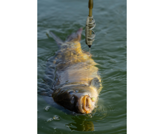 Spike'Um Wafter 8mm Meaty Mussel