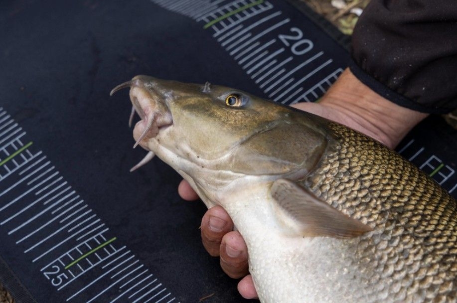 Neoprene Measure Mat 120cm