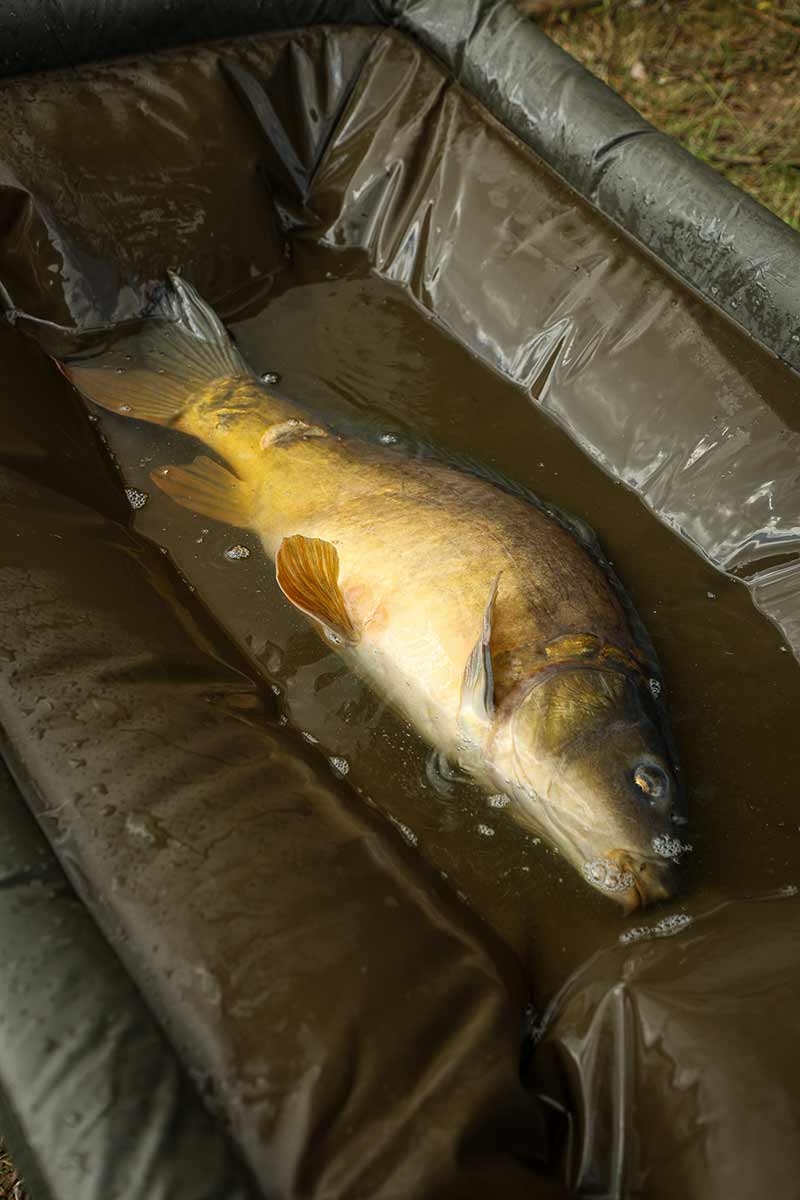 Carpmaster Welded Cradle