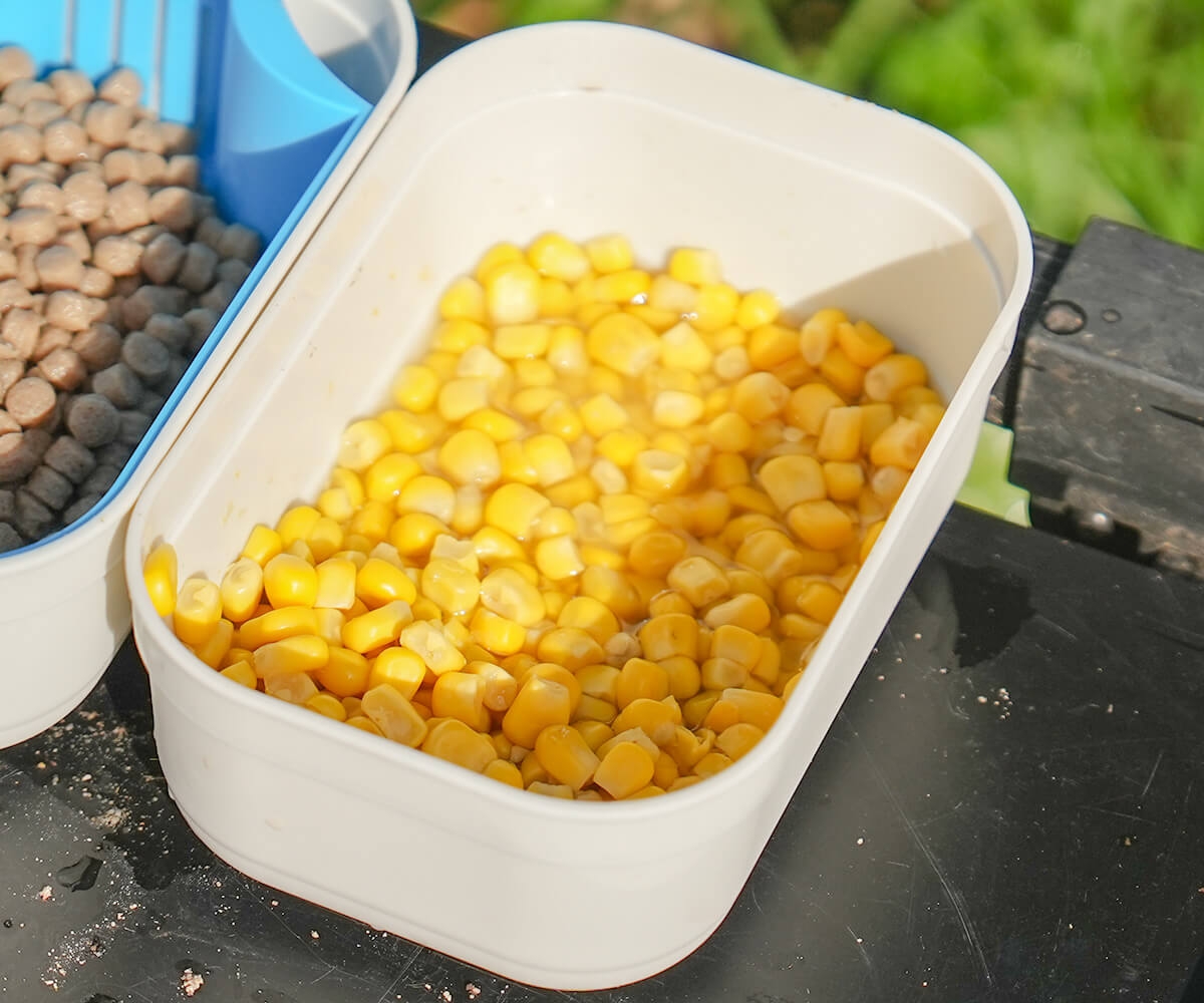 Bait Tube Closed Lid 600ml