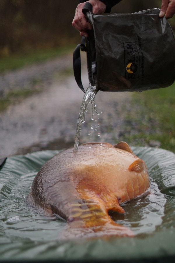 Undercover Camo Foldable Unhooking Mat