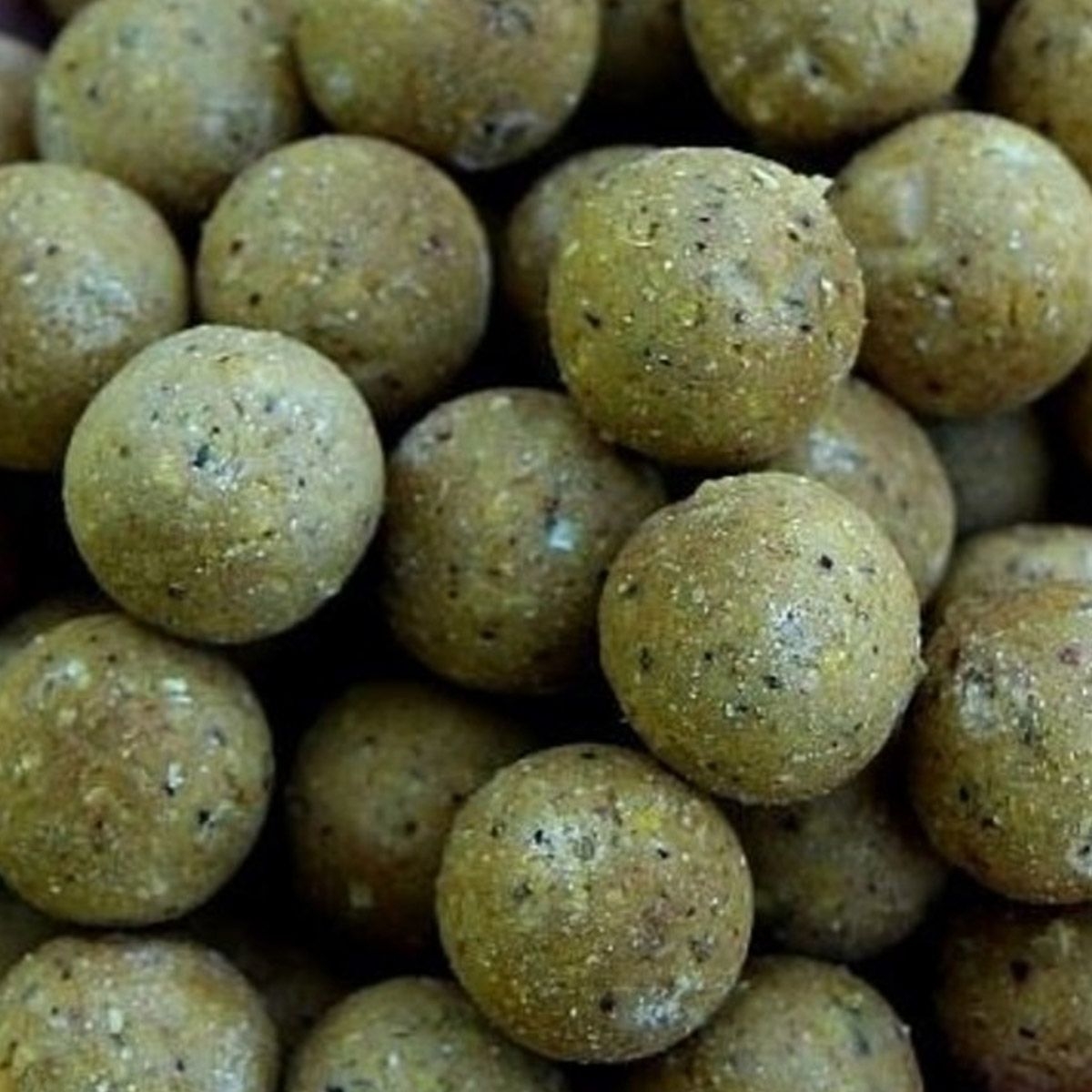 Shelf Life Ester & Cream 16mm - 1kg