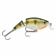 Jointed Shallow Shad Rap YP