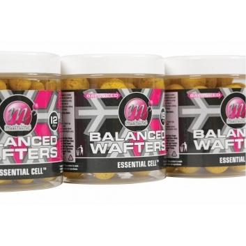 Balanced Wafters Essential Cell