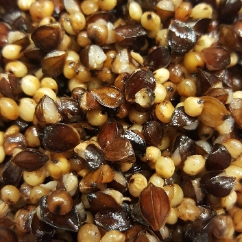 COMBI 3 PVA VRIENDELIJK