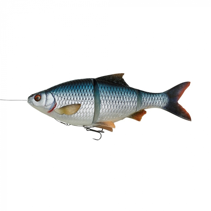 4D Line Thru Roach - Roach MS 18cm