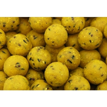 Classic Range Boilie Scopex